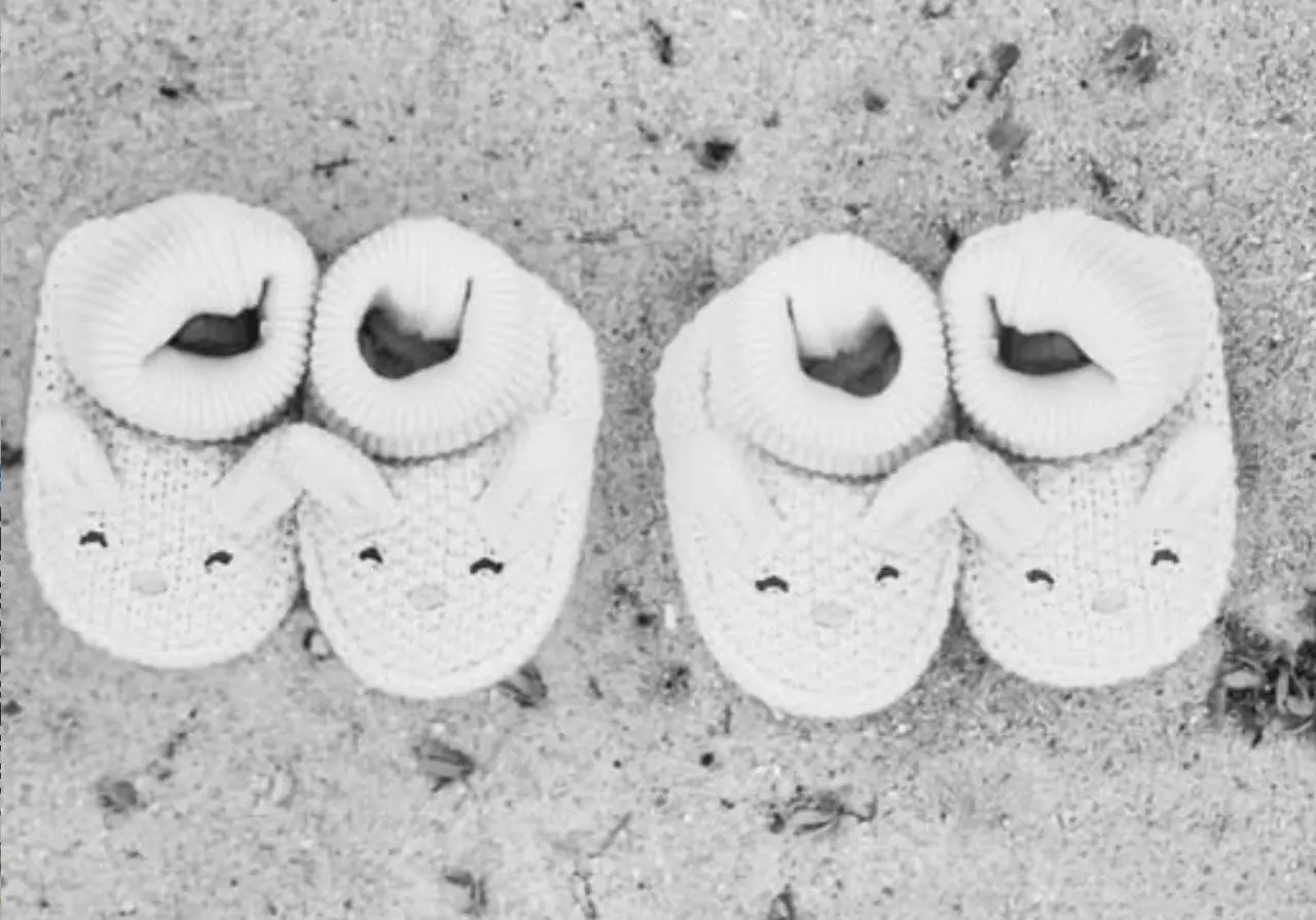 La emotiva historia de Fiorella Solines y sus gemelas que te conmoverá- Últimas noticias Ecuador