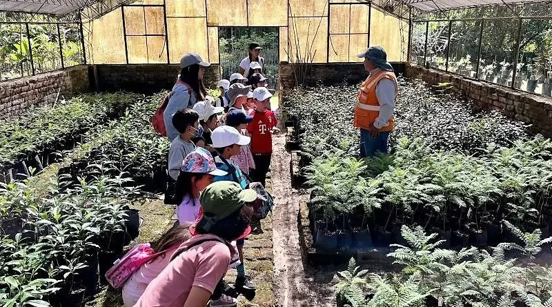 Entrada libre a viveros municipales de Quito- Últimas noticias Ecuador