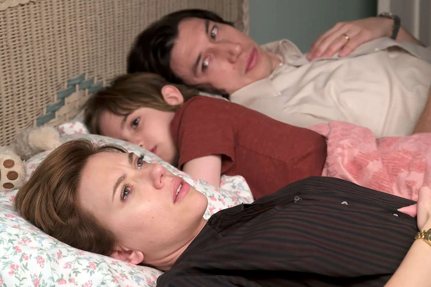 El impactante giro en la lucha contra los lobos gracias a un divorcio famoso- Últimas noticias Ecuador