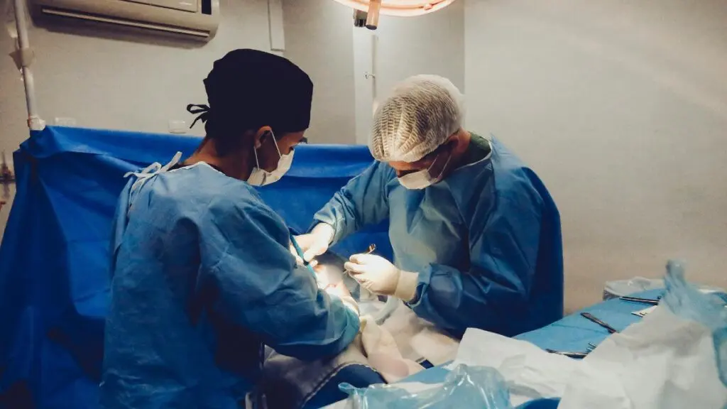 Ecuador revoluciona la salud: ¡447 trasplantes en solo seis meses!- Últimas noticias Ecuador