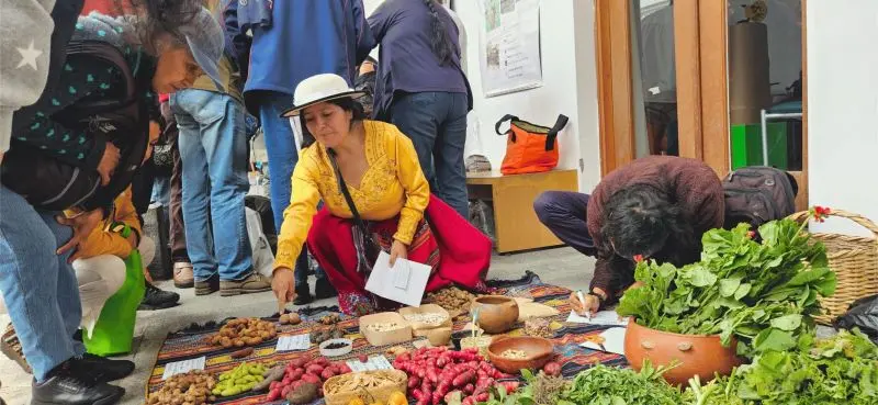 Factoría de las Artes 2025: Programación Cultural en Quito- Últimas noticias Ecuador