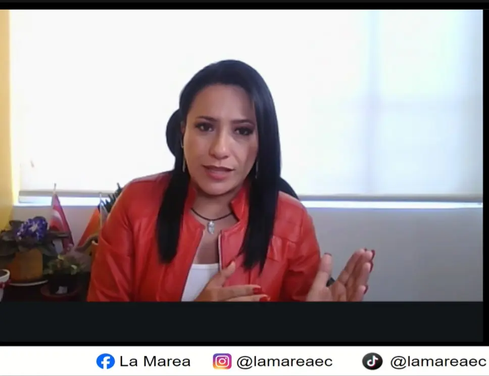 Nueva ley provoca temor en organizaciones sociales ecuatorianas- Últimas noticias Ecuador