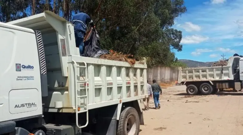 Limpieza revitaliza la calle Mastodontes en Quito- Últimas noticias Ecuador