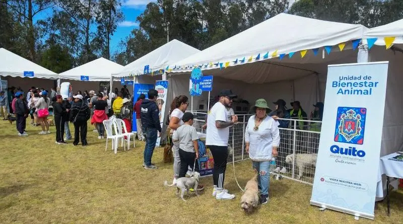 Gran éxito del UBA Fest 2025 en Quito- Últimas noticias Ecuador