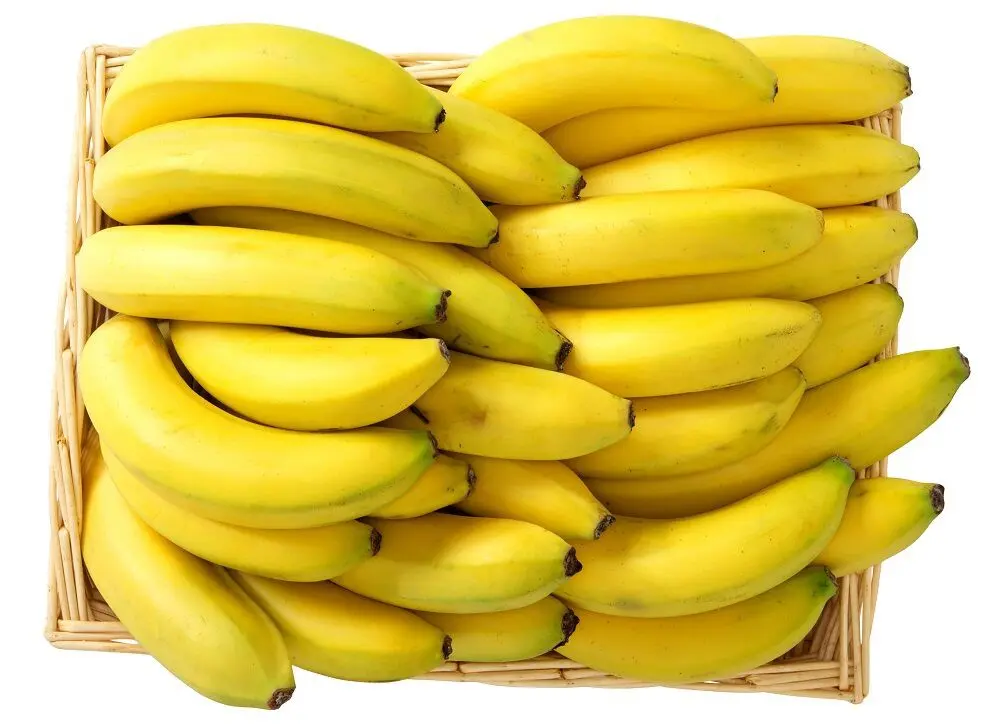 Ecuador en peligro: ¿podría perder $61 millones por un arancel estadounidense?- Últimas noticias Ecuador