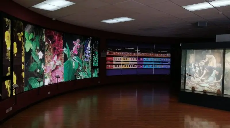 Festival Infantil y Juvenil Chulpicine 2025 en Quito- Últimas noticias Ecuador