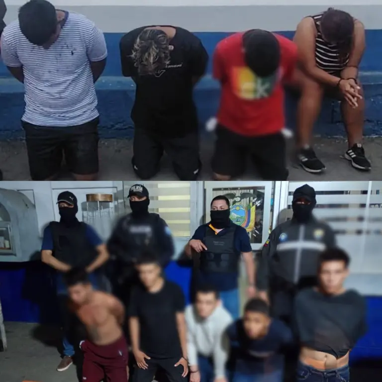 Clausuran camal clandestino en Pintag por irregularidades