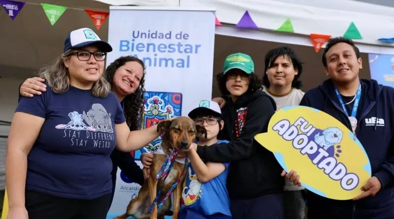 Estrellita, perrita rescatada, encuentra nuevo hogar- Últimas noticias Ecuador