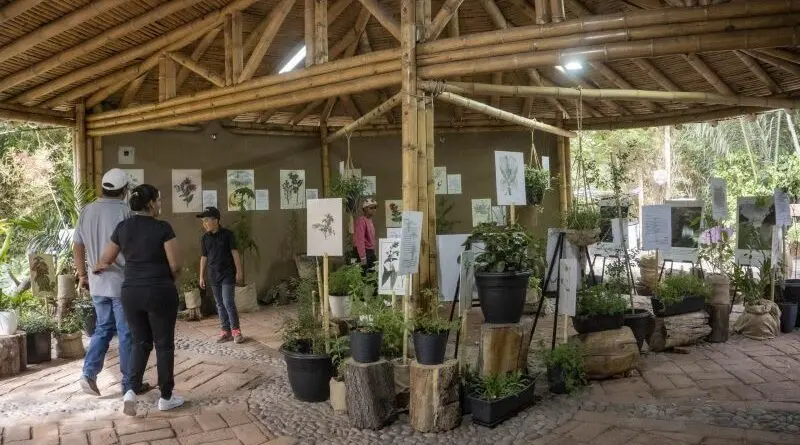 Exposición de flora nativa en el Zoológico de Quito- Últimas noticias Ecuador