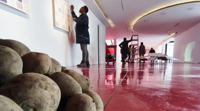 Exposición sobre la papa se inaugura en el MDC- Últimas noticias Ecuador