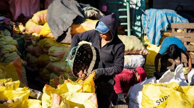 Nuevo esquema de abastecimiento en el Mercado Mayorista- Últimas noticias Ecuador