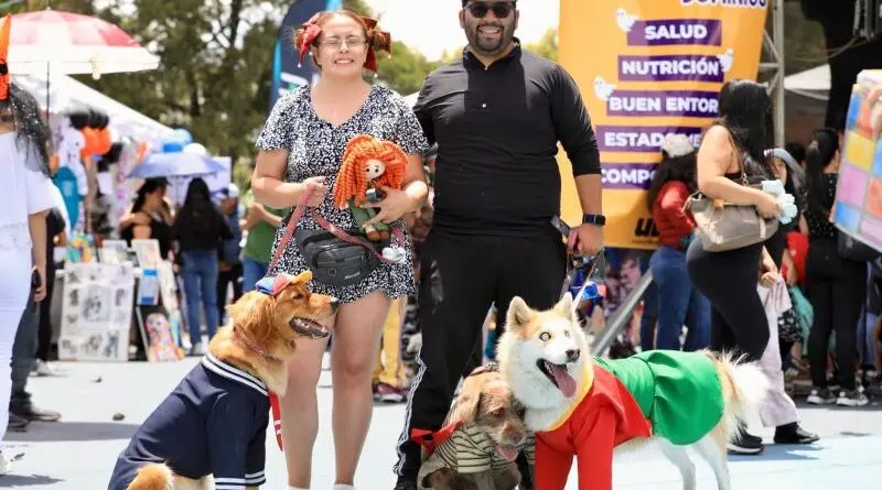 Éxito de adopción en el UBAween 2025- Últimas noticias Ecuador