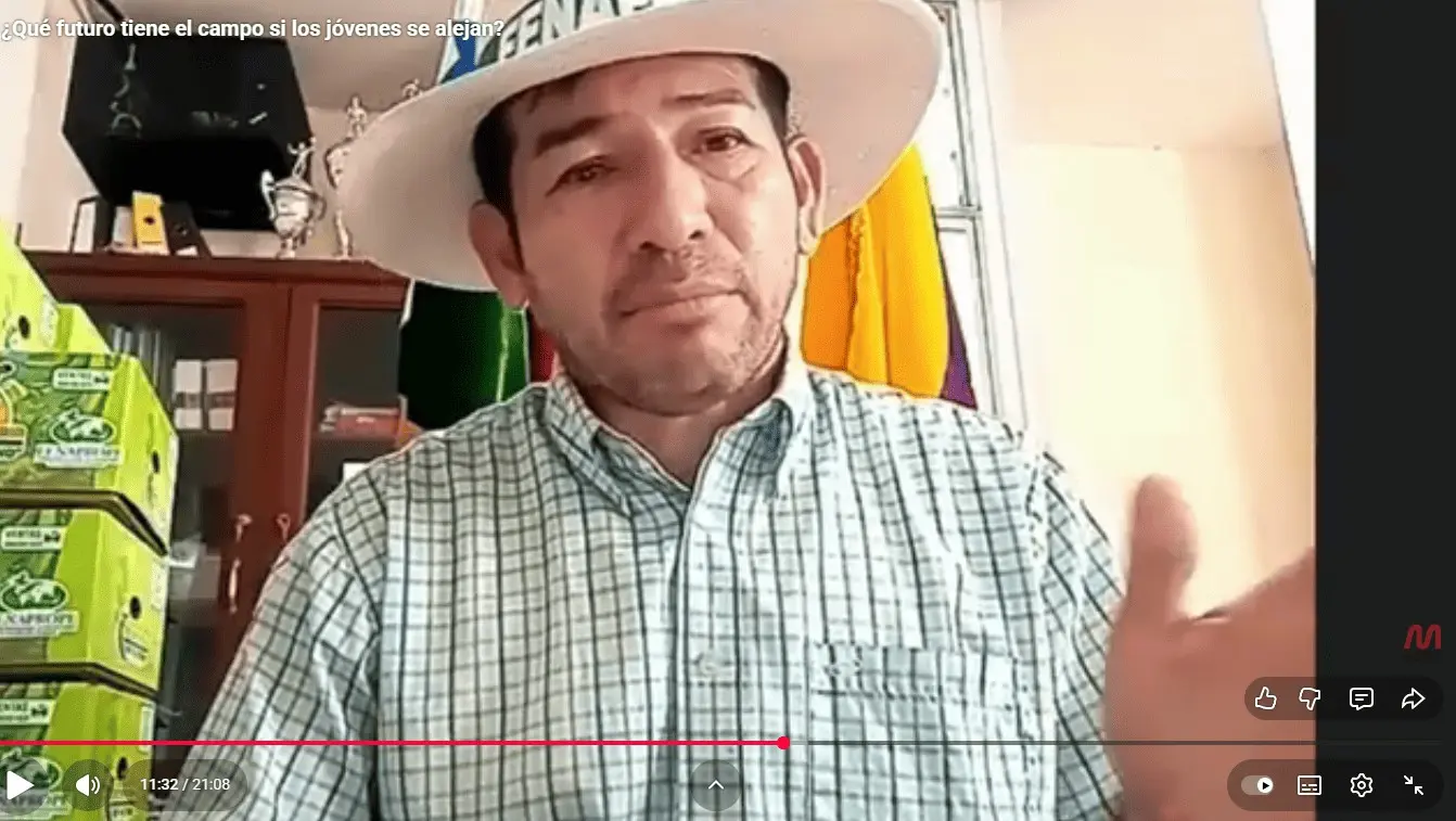 El plátano ecuatoriano marca un nuevo capítulo histórico- Últimas noticias Ecuador