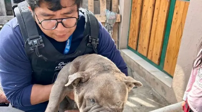 Rescate de perros en condiciones críticas en La Roldós