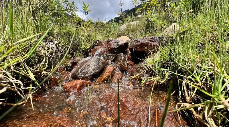 Iniciativa para conservar el bosque Rumipamba en Quito- Últimas noticias Ecuador
