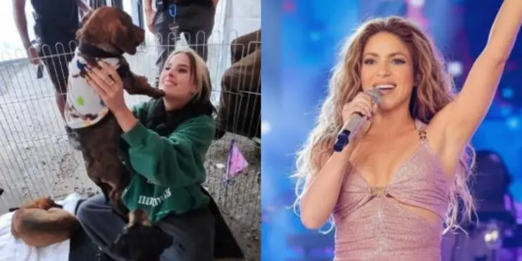 Una bailarina de Shakira encuentra amor en un perro ecuatoriano, ¡no creerás lo que pasó!- Últimas noticias Ecuador