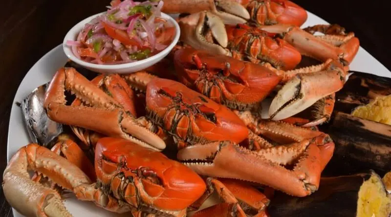 Cangrejada Quiteña se celebra en La Mariscal- Últimas noticias Ecuador