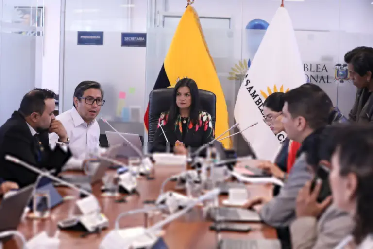 Ferias y mercados en Quito ofrecen productos navideños