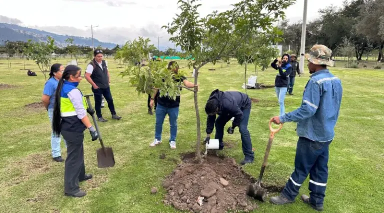 Nuevas paradas del Trolebús benefician al Parque Bicentenario