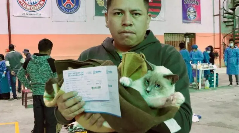 Cerca de 100 animales son esterilizados en Quito- Últimas noticias Ecuador
