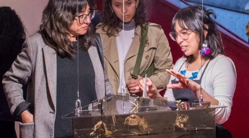 Cierre de la exposición