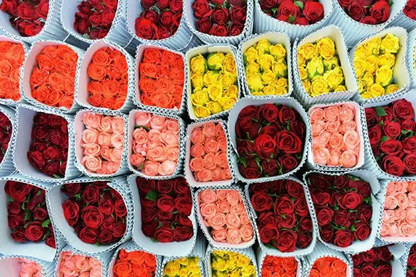 Quito participa en FITUR 2026 para promover turismo- Últimas noticias Ecuador