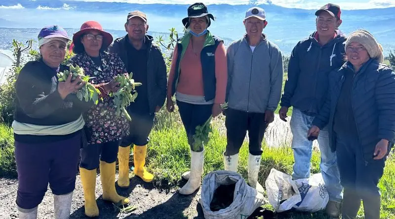 Quito transforma residuos en abono útil para comunidades- Últimas noticias Ecuador