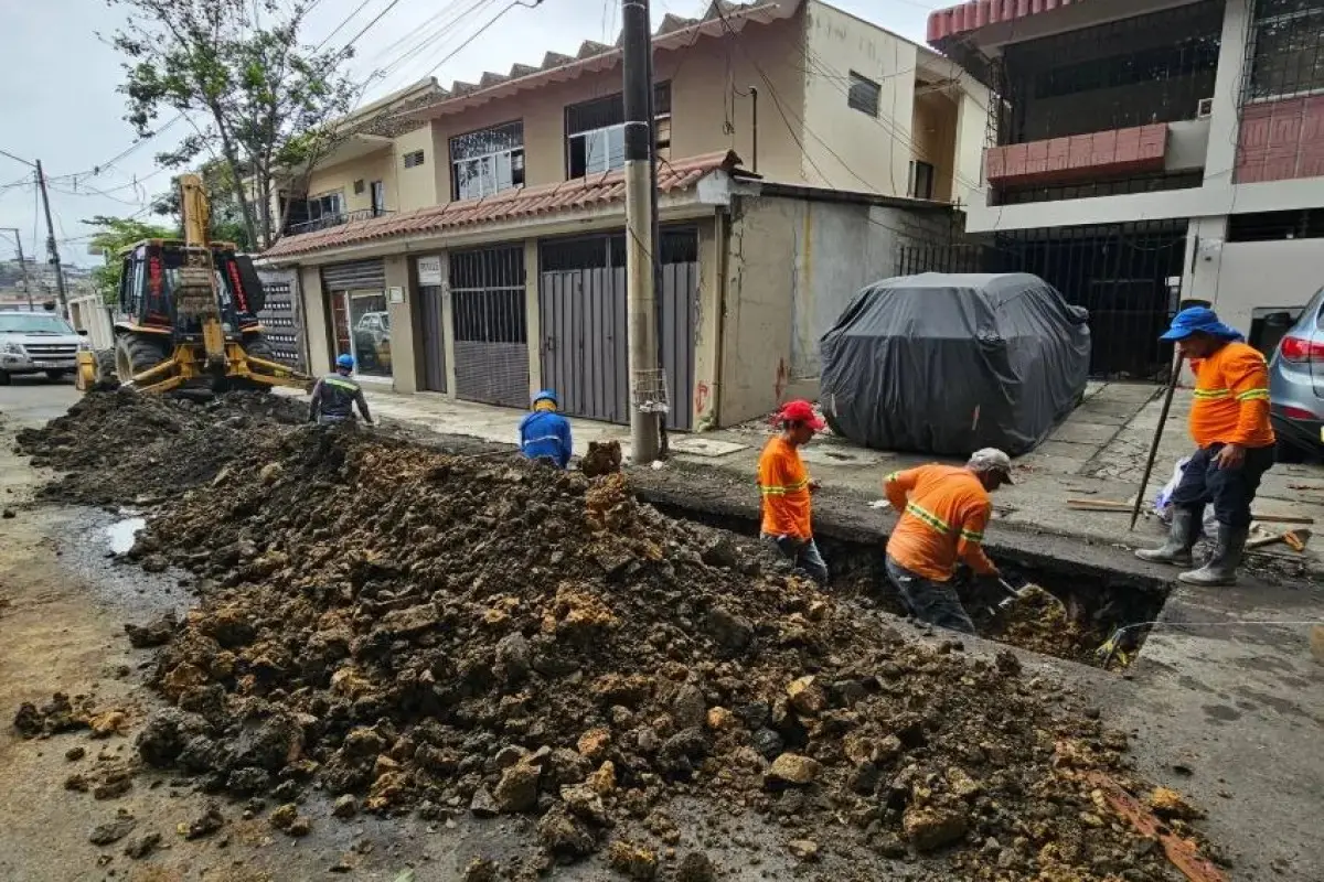 Guayaquil inicia soterramiento de cables en Urdesa- Últimas noticias Ecuador