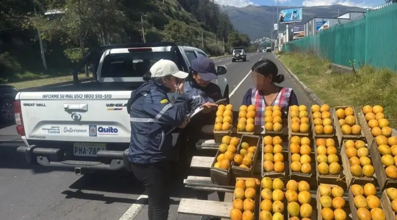 Controles de venta de fruta se incrementan en Quito- Últimas noticias Ecuador