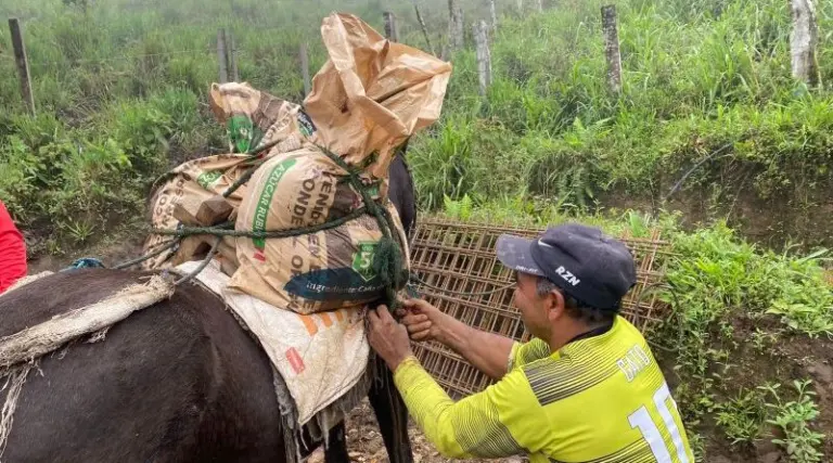 Comunidad de Anope mejora acceso al agua potable