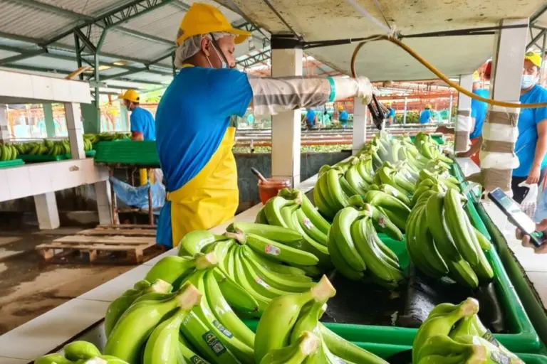 Acuerdo comercial con EEUU elimina sobretasa a exportaciones
