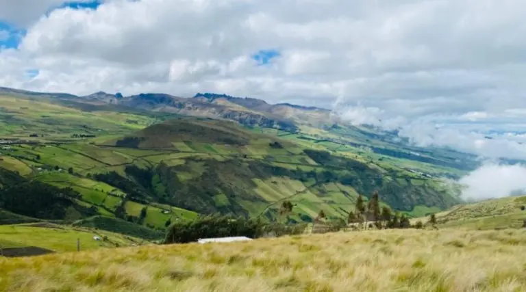 Recuperan 500 hectáreas de páramo en Quito