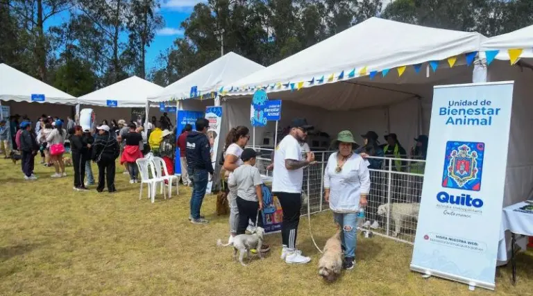 Iniciativa promueve adopción responsable de mascotas en Quito