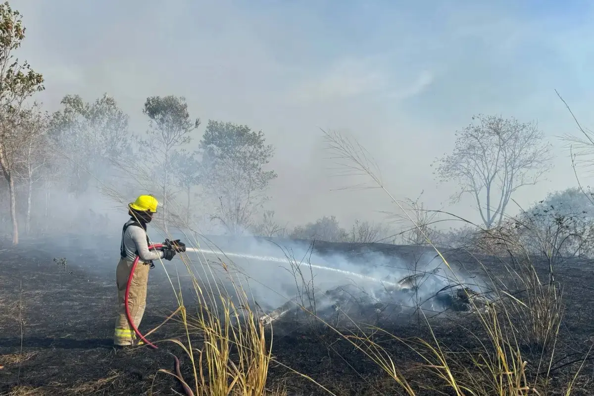 Guayaquil suma 16 incendios forestales y crecen las alertas- Últimas noticias Ecuador